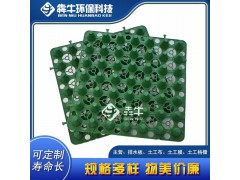 梧州地下室车库蓄排水板质量可靠图1