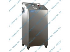 壁挂式臭氧发生器图2