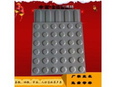 20厚国标地铁全瓷盲道砖 黑龙江盲道砖厂家供应6图2