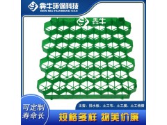 淮南消防通道绿化植草格规格齐全图4