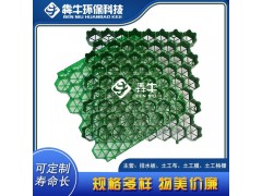 淮南消防通道绿化植草格规格齐全图2