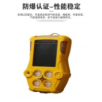 手持式煤气气体检测仪