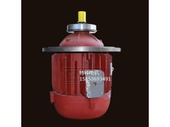 南特电机ZD141-4 7.5KW锥形转子三相异步电动机图2