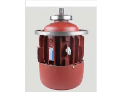 南特电机ZD141-4 7.5KW锥形转子三相异步电动机图3