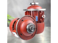 南特电机ZD141-4 7.5KW锥形转子三相异步电动机图5