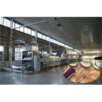 丽星自动化粉条生产线铺浆工艺 水晶粉丝机使用薯类淀粉加工