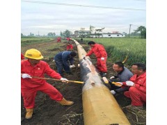 无溶剂环氧树脂涂料 穿越用环氧玻璃钢 无溶剂聚氨酯防腐涂料图4