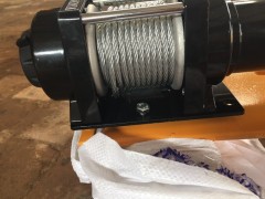 300公斤12伏车上电瓶吊机批发价图1