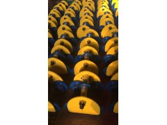 山西1吨2吨单轨小车运行式跑车厂家图1