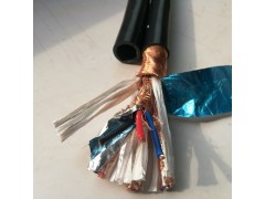 本安计算机控制电缆DJYVPR/DJYPVP/DJYPVPR图1