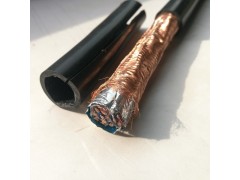 本安计算机控制电缆DJYVPR/DJYPVP/DJYPVPR图2