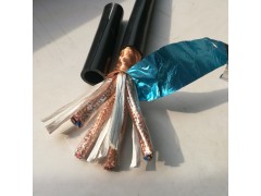 本安计算机控制电缆DJYVPR/DJYPVP/DJYPVPR图3