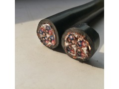 本安计算机控制电缆DJYVPR/DJYPVP/DJYPVPR图4