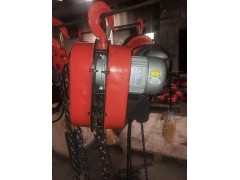 上海15吨12米环链电动葫芦铜芯图1