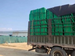 塑料植草格护草格花口种草格平口植草格源头厂家图1