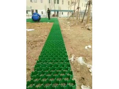 塑料植草格护草格花口种草格平口植草格源头厂家图2