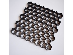 户外植草格加固停车场专用植草格图2