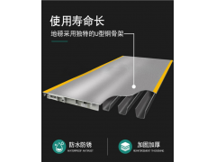 天津50吨80吨地磅秤厂家图2