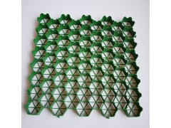 户外植草格加固停车场专用植草格图2