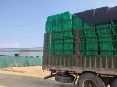 户外植草格加固停车场专用植草格图3