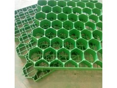 园林专用植草加固护草格图1