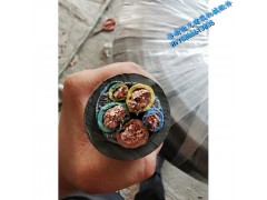 济南恒义塔机配件/施工升降机电梯配件 电缆3/25+2图5