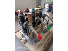 永磁式户内高压真空断路器ZW32-12G/630-20图5