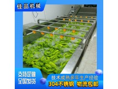 果蔬清洗线 可加臭氧杀菌清洗机图2