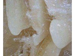 深圳观澜塑胶水口料ABS上门高价回收图2