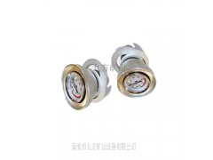 DZ-CL-2单体支柱测力计厂家直销图3