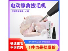 杀鸡鸭鹅拔毛神器鸡毛鸭毛机器家禽鸭子拨毛脱毛机全自动图2
