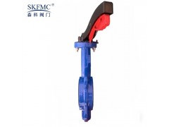 D71X-16Q对夹式中线蝶阀图2