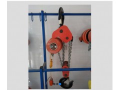 7.5吨12米24米电动导链DHS葫芦制造厂图1