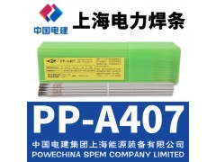 上海电力牌PP-A407不锈钢焊条E310-15不锈钢电焊条图2
