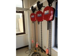 悬臂吊龙门吊环链电动葫芦链式快速葫芦配套厂图1