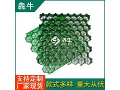 信阳hdpe停车场植草格款式新颖图5
