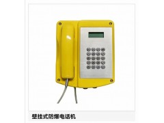 壁挂式紧急电话机,隧道紧急电话机,IP防爆电话机图1