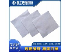 肇庆无纺隔离排水土工布款式新颖图1