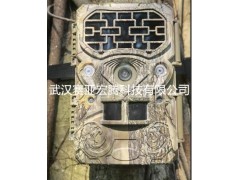 千里拍DTC-1000野外监测相机图2