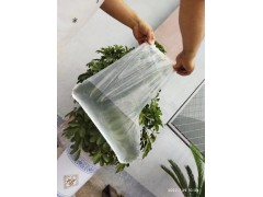 供应安全先生P6一次性医用隔离鞋套图2