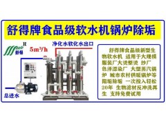 舒得优质软水机服装厂整烫设备纱厂印染农村供暖等蒸汽锅炉除垢器图2