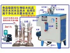舒得优质软水机服装厂整烫设备纱厂印染农村供暖等蒸汽锅炉除垢器图6