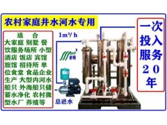 家用净水器井水过滤器河水净水机家庭别墅自然村山庄餐饮旅游景点图2