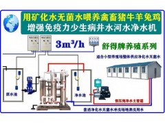 原水处理设备井水过滤器河水净水机养鸡场机械化养鸡场饮水设备图3