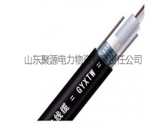 GYXTW光缆24芯单模万兆光缆图1