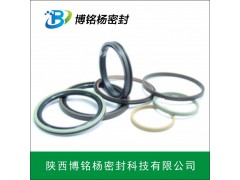 耐化学溶剂杜邦FFKM橡胶O型密封圈非标件定制图2